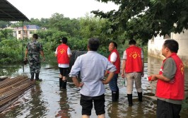 天津基层村干部防汛记(防汛村民区内滞洪转移)