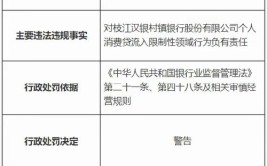 多名责任人被罚(村镇股份有限公司罚单违规责任人)