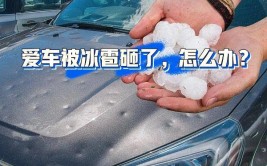 车被冻住怎么办？小心一招毁车！(一招结冰解冻柴油冬季)