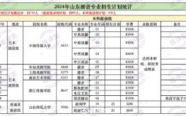 2024年艺术生播音主持多少分能上一本