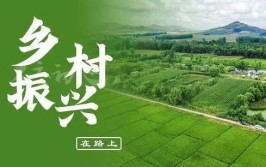 乡村振兴济宁样板｜兖州：发展特色产业 助力乡村振兴(种植丹参乡村第一书记店镇)