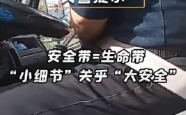 还是被交警拦下？安全带，正确使用才安全(安全带交警司机货车大货车)