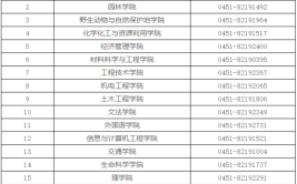 东北林业大学的学校代码是什么