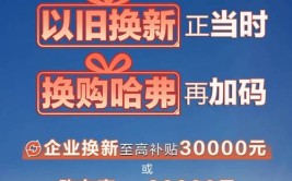 置换7万以上新车 政府最高补8千(补贴万元家电置换以旧换新)