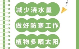 养花保暖不是放到室内那么简单这6个步骤一定要知道都很重要