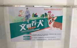 有淄有爱 | 爱犬有度 规范养犬创文明(养犬有度爱犬测评山园)