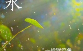 雨水是什么季节