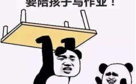 南京一小学这项寒假作业一布置就被抢光