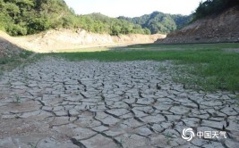 部分地区水利设施“建而不管”很“闹心”(管护水井水利旱情水库)