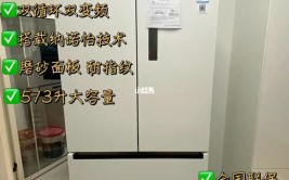 雄大探店再做视频、直播详细介绍(冰箱详细介绍直播再做松下)