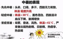 夏季最热的时候被称为什么