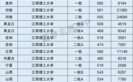 江西理工大学是985还是211