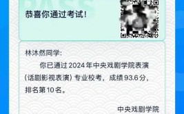 直接高考不艺考可以上中戏吗