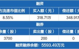 盛景微：公司主要产品为电子控制模块、起爆控制器(公司投资者盛景芯片集成电路)