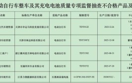 江西省市场监督管理局抽查电动自行车充电器产品10批次 全部合格(充电器合格品检测产品检验检验)