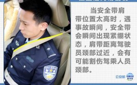 关于“安全带”泌阳交警有动作(安全带泌阳交警乘客重点)