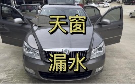 结果新车竟漏成“水帘洞”？(斯柯达新车辆车女士漏水)