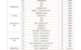 2024艺考后可以不报艺术类专业吗