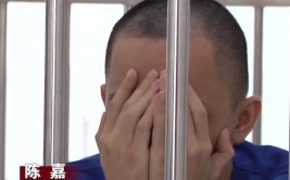 有汽修技术却不走正道 3名“汽车大盗”临高落网(临高被盗李某汽车盗窃)