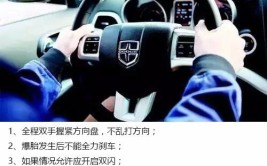 汽车爆胎 侧滑如何处理 这一步一定要做(制动方向盘车辆转向刹车)