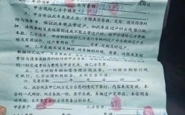 【交广热线 汽车维权】22万二手奥迪竟然是辆重大事故车？58金融彻底联系不上了？(上了奥迪金融这辆这家)