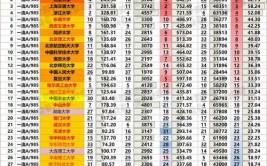 2024上985大学最低需要多少分