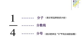 分数上面是分子还是分母