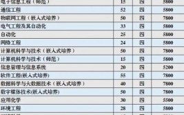 江苏理工学院中外合作办学学费多少钱一年