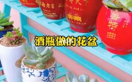 喝完的酒瓶不要丢了教你手工制作花盆养多肉省钱效果超棒