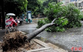 连夜私建汽车升降架执法部门“连根拔起”(升降汽车人民网中队连根拔起)