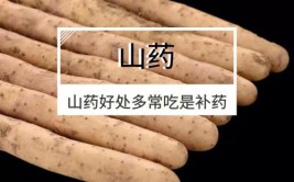 山药吃了舌头麻为什么