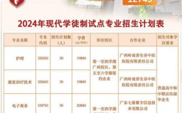 2024广东岭南职业技术学院学费多少钱一年