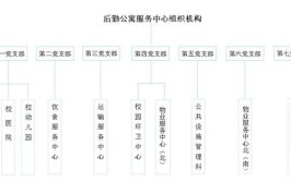 大学部门有哪些