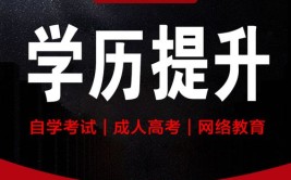 网络教育成人本科都有什么学校