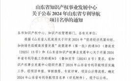 喜报！聊城市交通设施产业专利导航项目落户冠县(交通设施产业专利导航项目)