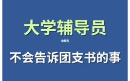 大学团支书每年都换吗