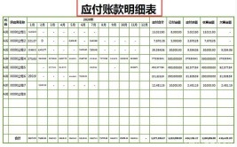 应付账款在借方一般表示什么