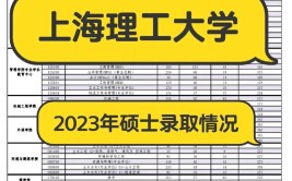 上海理工大学2023年在山东各专业招生人数