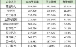 新能源汽车驱动电机top 10排名！(电机新能源驱动汽车企业)