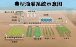 一起来了解园林灌溉的注意事项