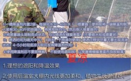 热热热大棚遮阳降温剂来了怎么喷效果更好