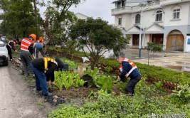 公路边种菜隆安公路养护中心提醒违法又危险