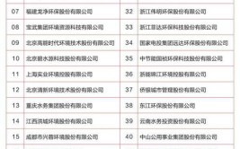 2023年装修材料行情分析,环保与品质双管齐下，引领家居潮流