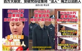 安徽警方通报！涉及滁州2起！(犯罪嫌疑人等人有期徒刑张某涉案)