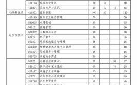 运城职业技术大学2023年在上海各专业招生人数