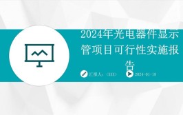 2024年光电显示技术学什么