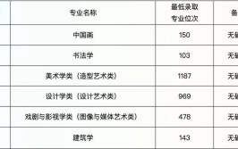 2024艺术类校考提升文化成绩少数省市却更低四川美院实例分析