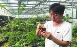 太原植物园科研人员任保青潜心植物研究 守护山西物种