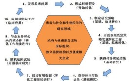 基础研究和应用研究有什么区别