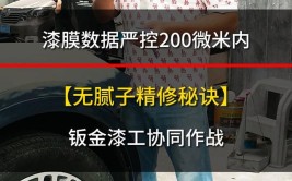 路尊名车(腻子厚度铁皮漆膜钣金)